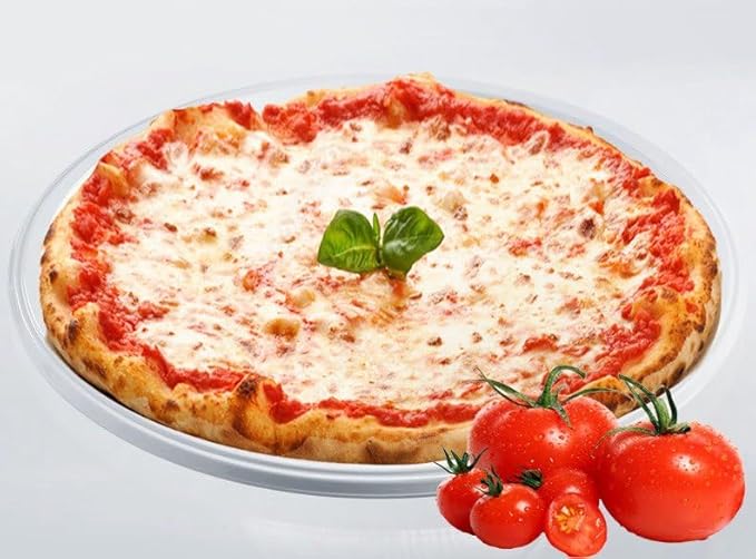 Piatti Pizza in Plastica Riutilizzabili  6 pz x 20pz