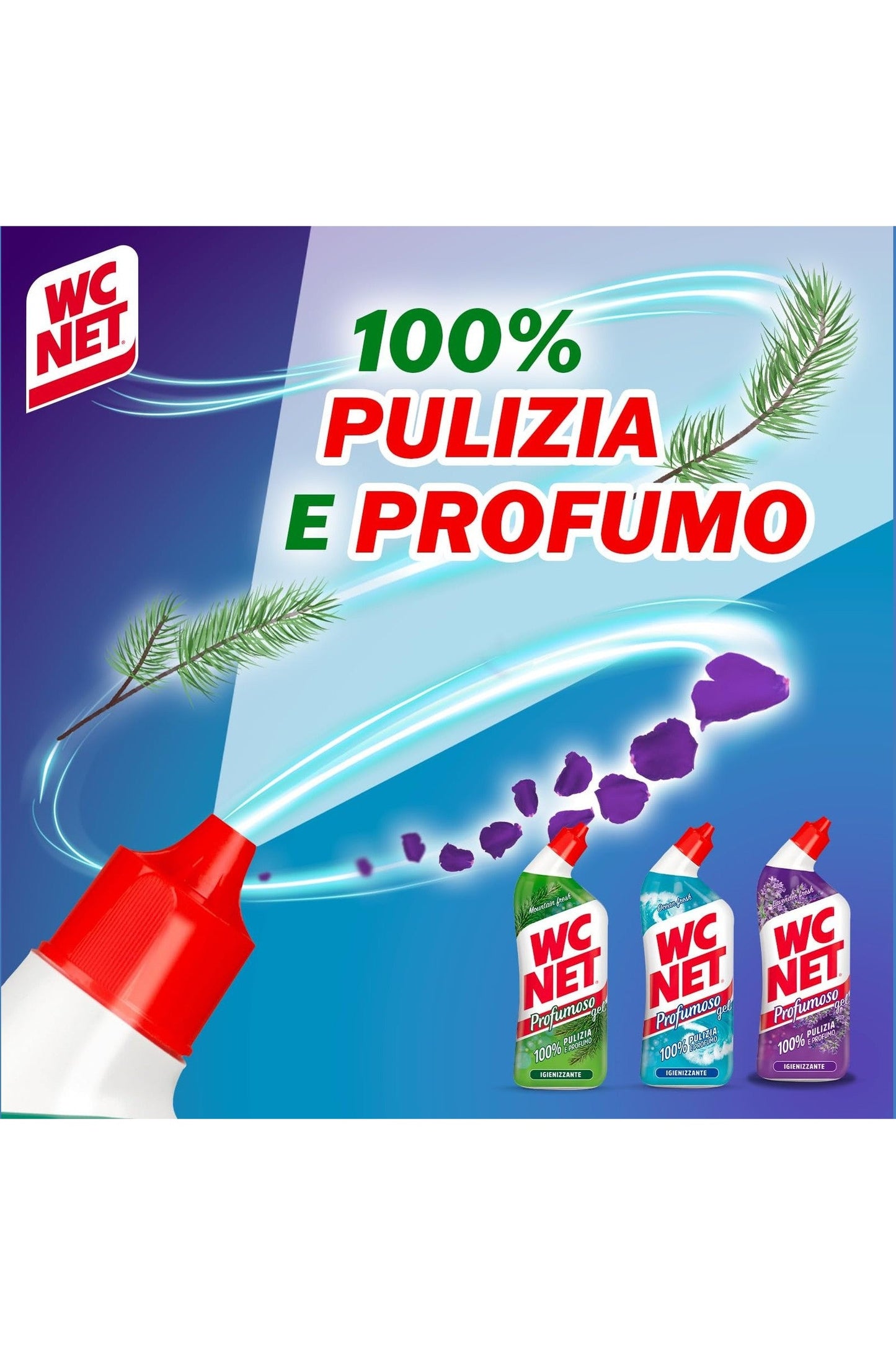 Wc Net - Profumoso Gel, Anticalcare e Igienizzante per WC, Fragranze Assortite, 700 ml x 12 Pezzi