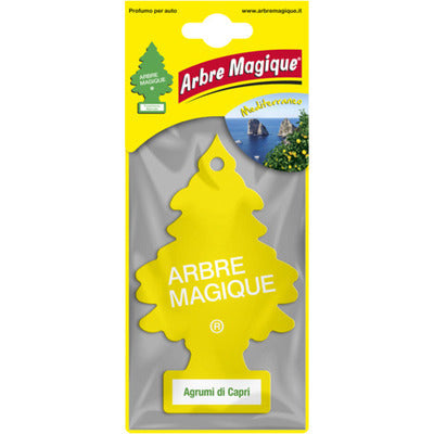ARBRE MAGIC AGRUMI DI CAPRI x 24
