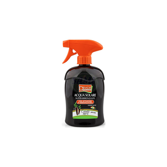 ACQUA SOLARE DELICE 500ML CAROTA NERA